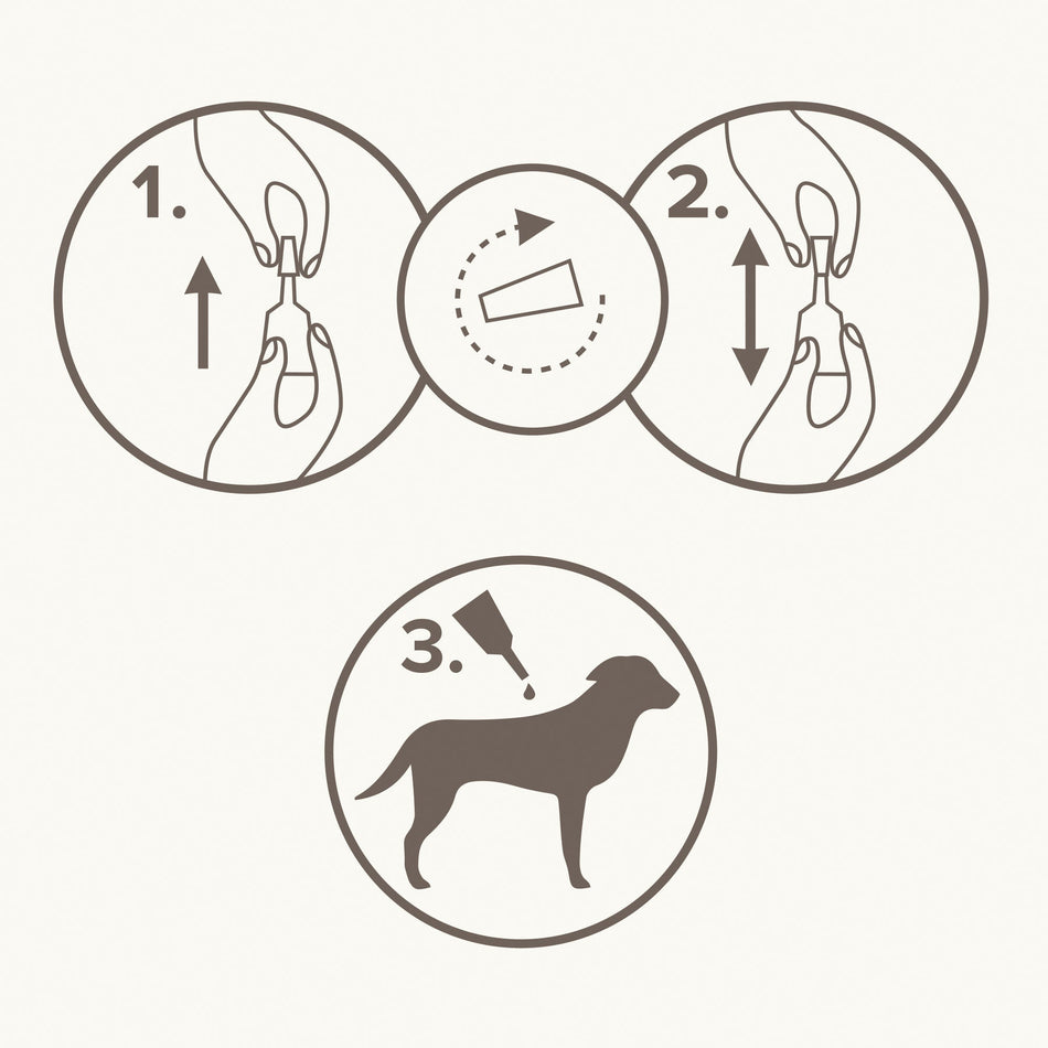 Beaphar Fiprotec Combo Flea & Tick Spot On For Medium Dogs (10-20kg) 3 pack