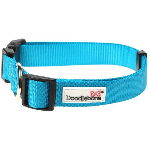 Doodlebone Originals Collar - Aqua