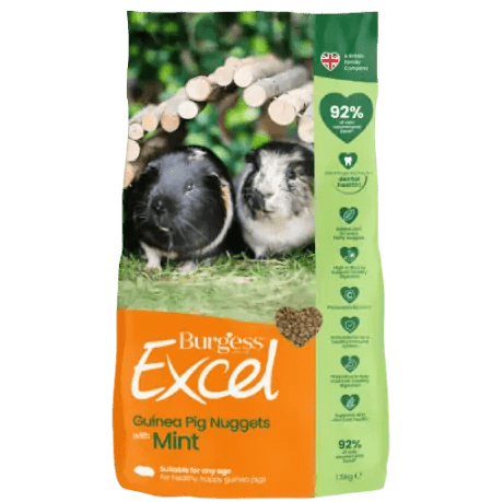 Excel Guinea Pig Nuggets with Mint