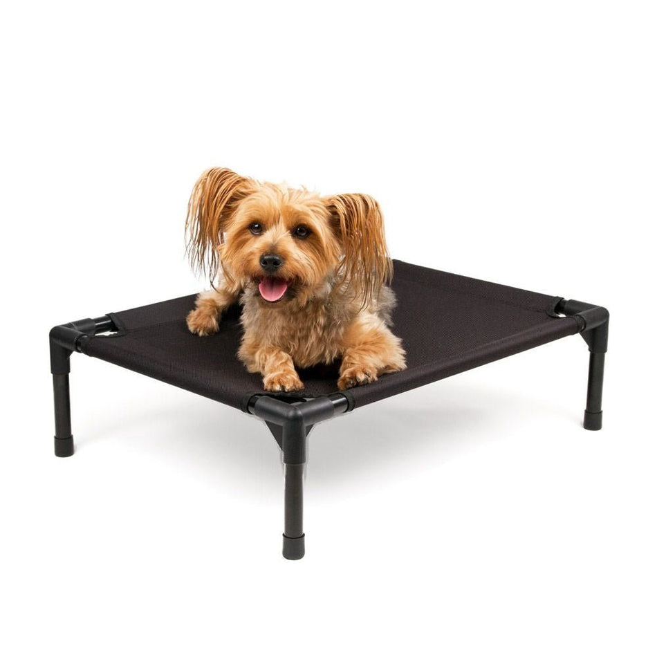 Great&Small Raised Bed Pet Bed - Walkies Pet Shop