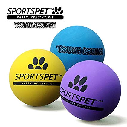 SportsPet Tough Bounce Dog Ball
