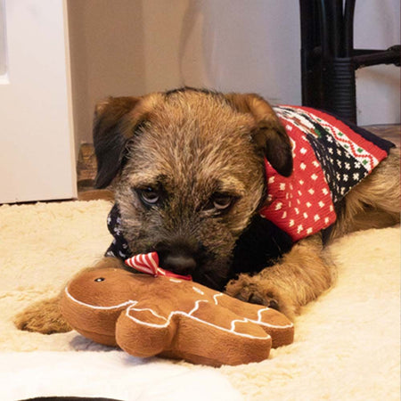 Cupid & Comet Christmas Eve Gift Box for Dogs - Small 