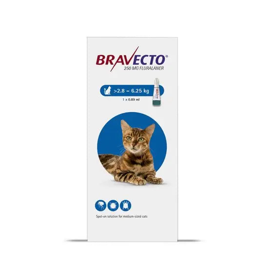 BRAVECTO® Spot-On Solution for Medium Cats 250mg 1 Dose
