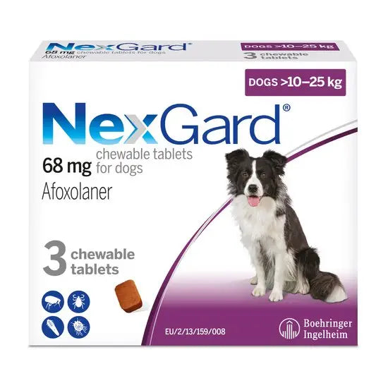 NexGard® Chewable Tablets for Large Dogs 68mg 3PK packaging with Border Collie image, designed for dogs 10–25kg to protect against fleas and ticks.