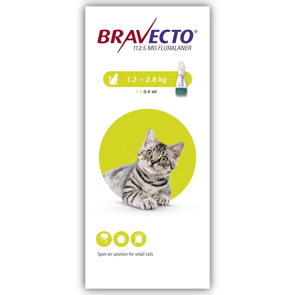 Bravecto® Spot-on Solution for Cats, 1 Dose