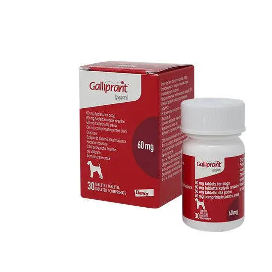Galliprant 60Mg pet medicine box and bottle for dogs, 30 tablets for pain and inflammation relief. Ideal for canine osteoarthritis treatment.
