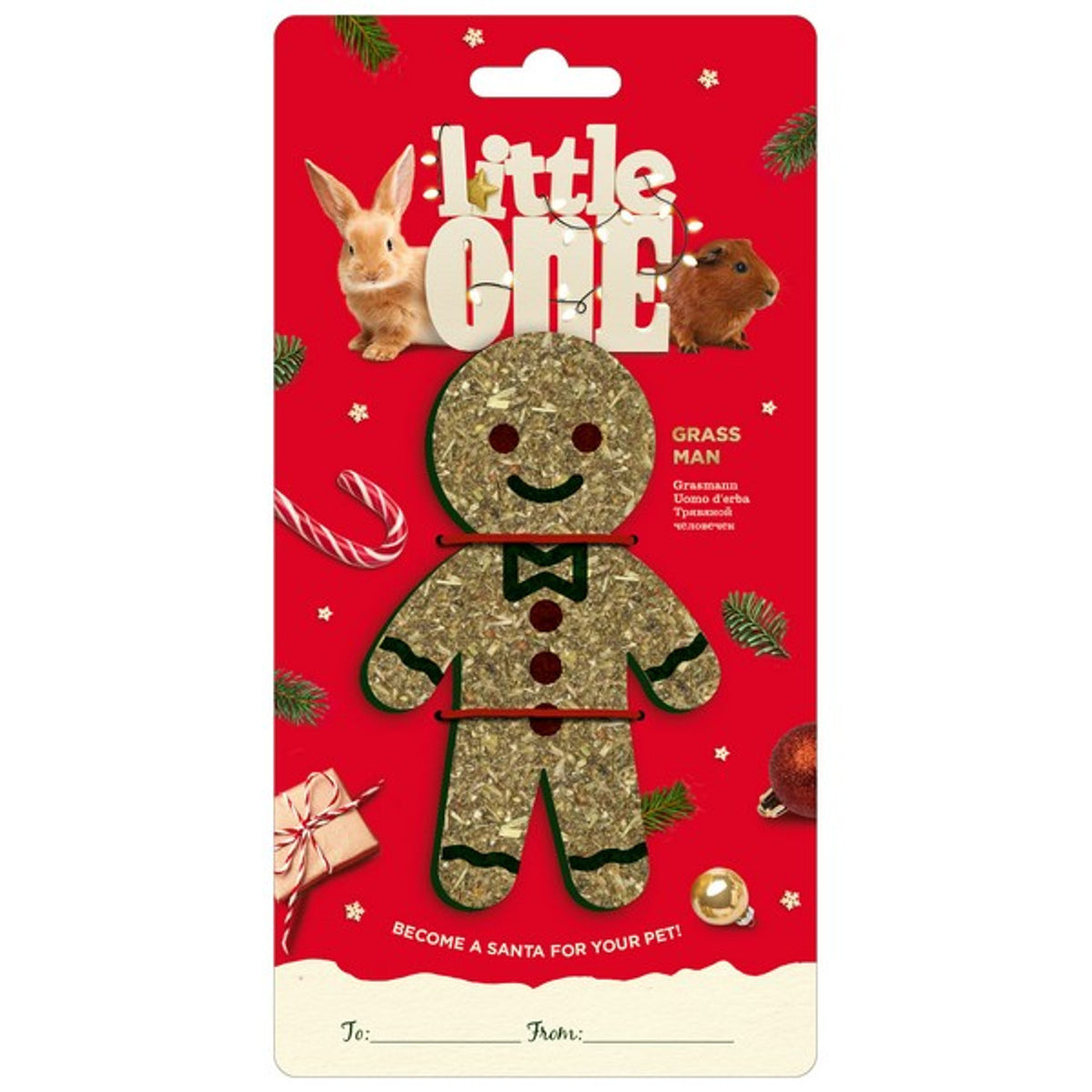 Little One Meadow Grass Man Christmas Treat For Small Animals 