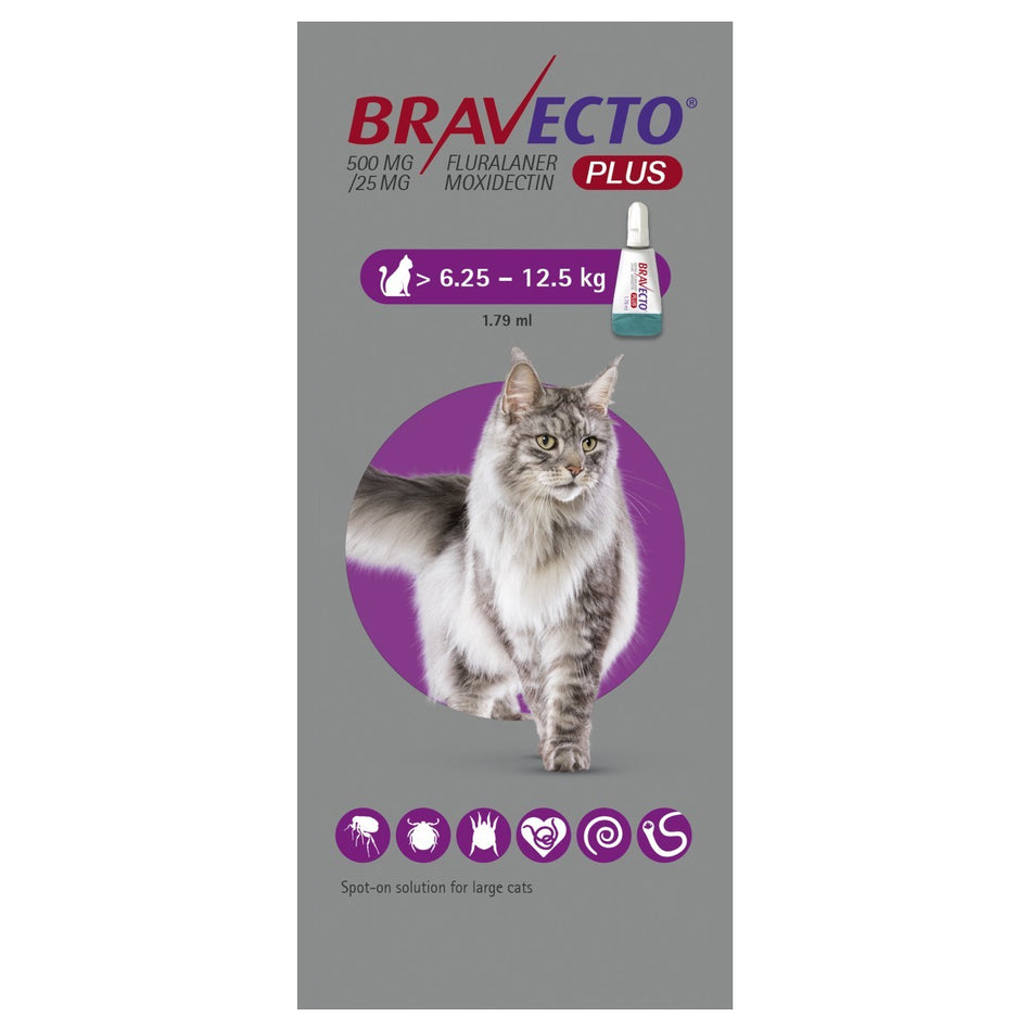 Bravecto® Plus 500mg Spot-On Solution for Large Cats 1Dose