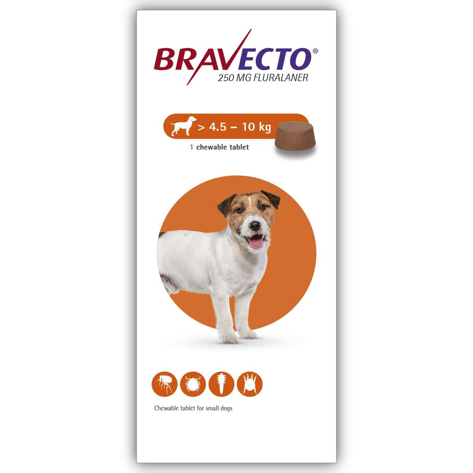 Bravecto® Chewable Tablets for Small Dogs 250mg 1D packaging showing a Jack Russell Terrier and a single chewable tablet for dogs 4.5–10kg.