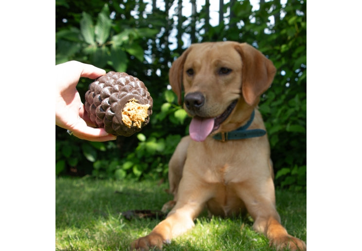 Örva Pine Cone Treat-Dispensing Dog Toy