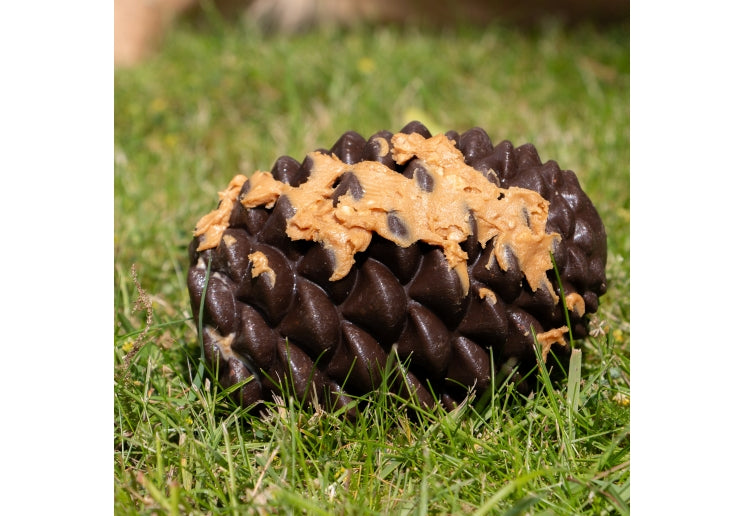 Örva Pine Cone Treat-Dispensing Dog Toy