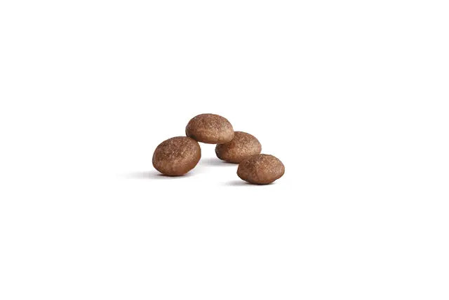 Royal Canin Ageing 11+ Dry Cat Food