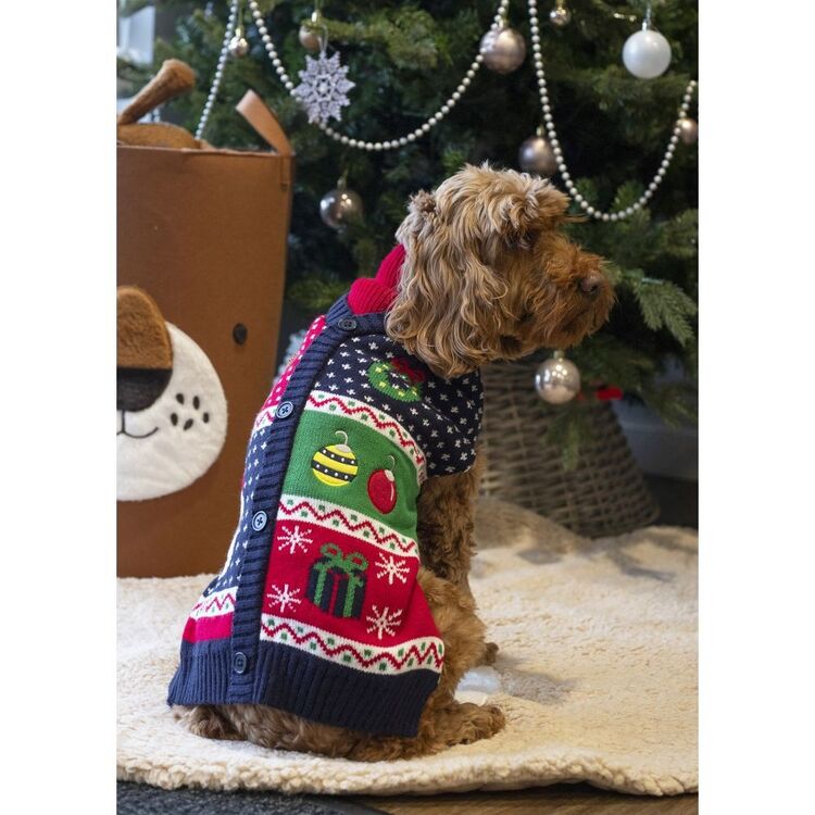 Cupid & Comet Christmas Eve Gift Box for Dogs - Medium 