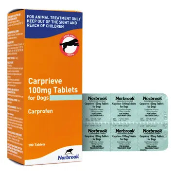 Carprieve® Blisters 100Mg pet pain reliever for dogs, 100 tablets of 100mg Carprofen by Norbrook in blister packaging and retail box.