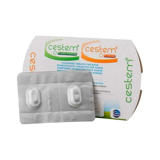 Blister pack and box of Cestem Flavoured Worming Tablets For S-M Dogs, effective pet medicine for deworming small to medium-sized dogs.
