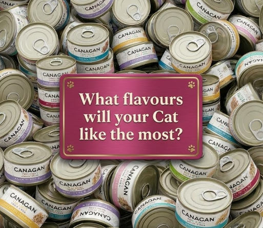 Stack of Canagan cat food cans with a pink sign asking 'What flavours will your cat like the most?'
