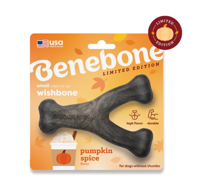 Benebone dog chew toy packaging with pumpkin spice flavor on an orange background