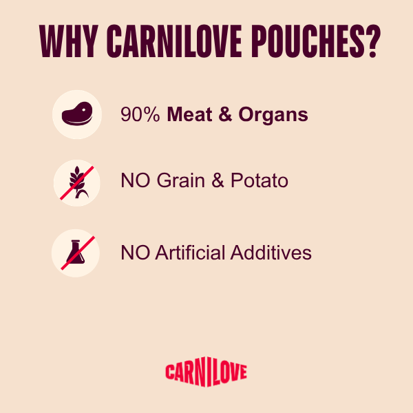 Carnilove Jelly Multipack Cat Pouches 12x85g