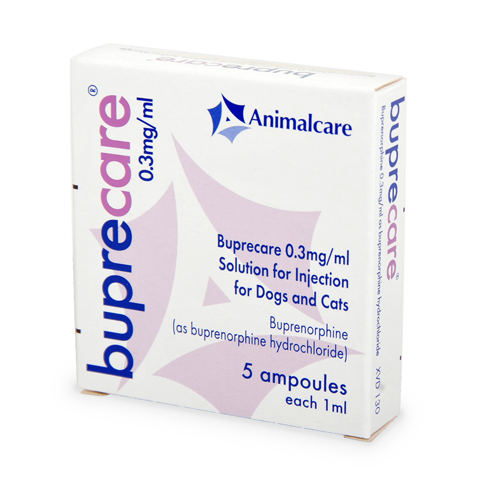 Buprecare® 0.3mg/ml Solution Ampoules box for dogs and cats, veterinary pain relief injection by Animalcare, 5 x 1ml ampoules.