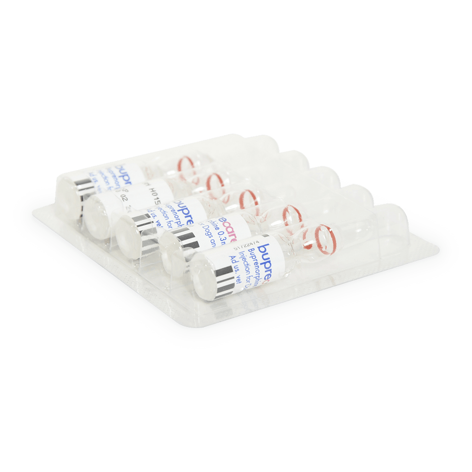 Blister pack of Buprecare® 0.3mg/ml Solution Ampoules, 5 clear 1ml ampoules for pet pain management, used in veterinary medicine.