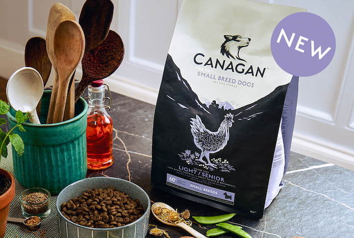 Canagan dog food package on a kitchen counter with wooden utensils and a plant.