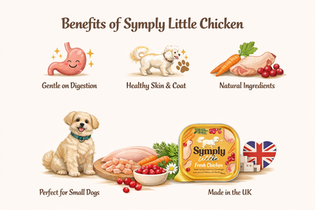 Advertisement for 'Simply Little Chicken' pet food with illustrations and text on benefits and features.