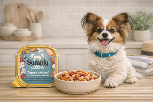 Dog with a bowl of food and a package labeled 'Simply Little' on a kitchen counter.