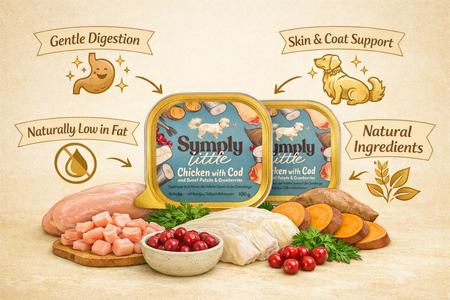 Dog food packaging with ingredients and health benefits on a beige background