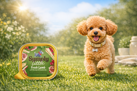 Dog running on grass with a 'Simply Little' pet food container in the foreground