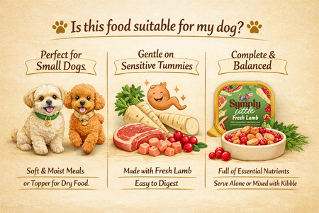 Dog food product description with images of dogs, food items, and a package on a beige background.