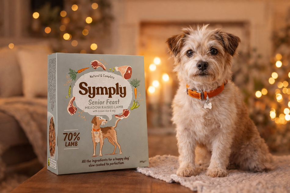 Symply Senior Feast Wet Dog Food 395g