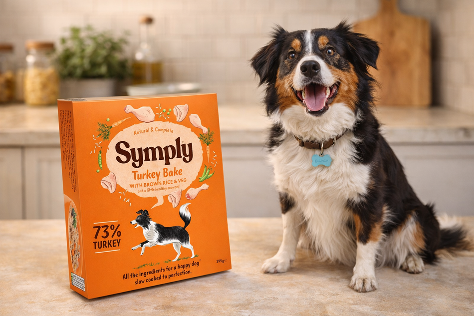Symply Turkey Bake Wet Dog Food 395g