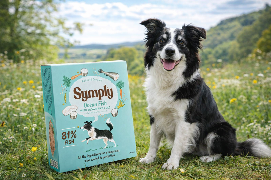 Symply Ocean Fish Wet Dog Food 395g