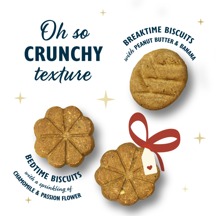 Lilys Kitchen Advent Calendar for Dogs