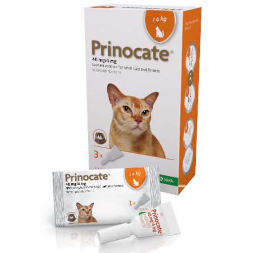 Prinocate® Spot-On Solution for Small Cats and Ferrets 40mg/4mg (up to 4kg)
