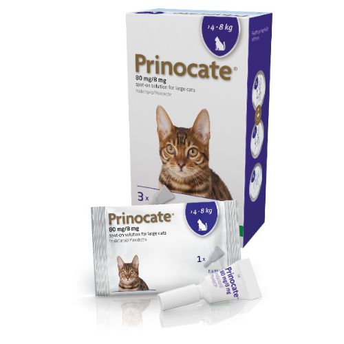 Prinocate® Spot-On Solution for Large Cats 80mg/8mg (4kg-8kg)