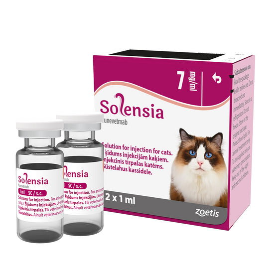 Feline Arthritis Injection Solensia® Solution for Injection for Cats 7mg/ml | Arthritus Treatment ...