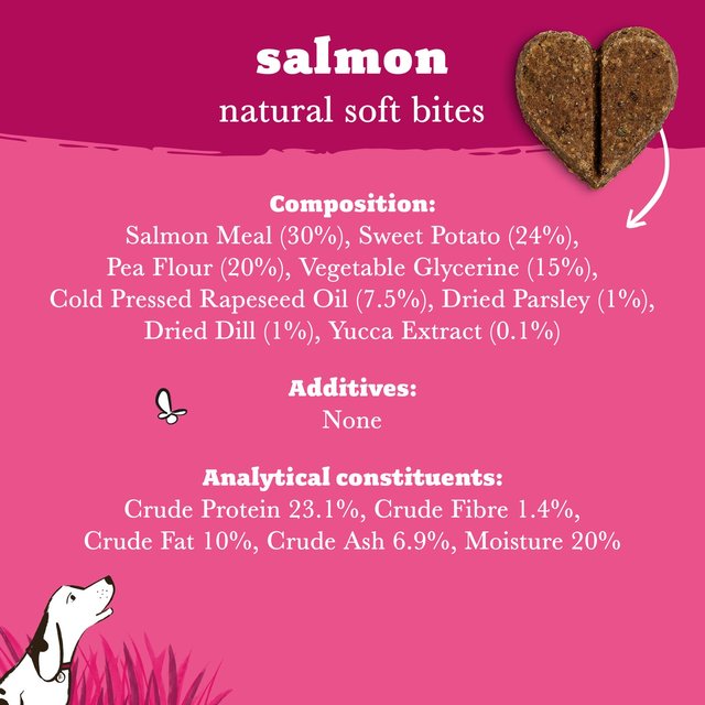 Forthglade Salmon Soft Bite Dog Treats 90g 