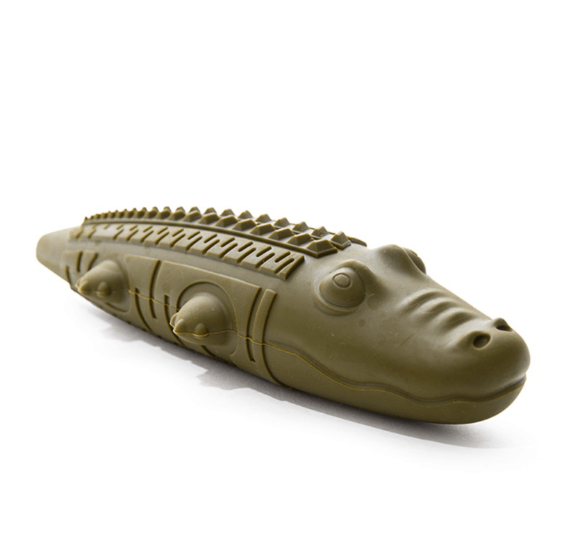 Stay Wild Alligator Dog Chew Toy by Great & Small, a durable green chew toy with textured grooves for dogs. Ideal for treat stuffing and tough play.