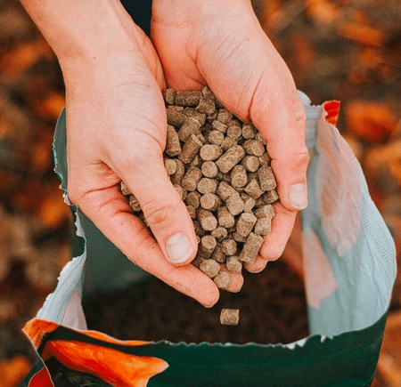 Hands holding a handful of brown pet food pellets above an open bag.