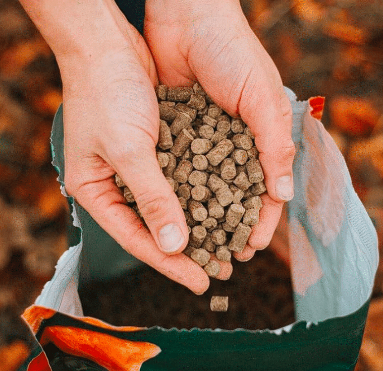 Hands holding a handful of brown pet food pellets above an open bag.