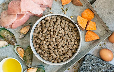 Dog food bowl with kibble, raw meat, vegetables, and eggs on a stone surface
