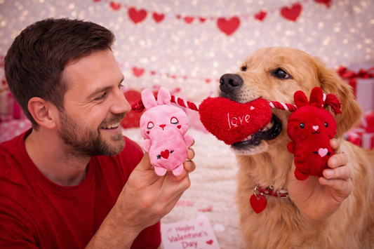 Great & Small Puppy Love Rabbits & Rope Dog Toy