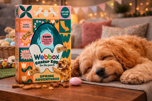 Webbox Dog Easter Egg Treat with Choccy Bones