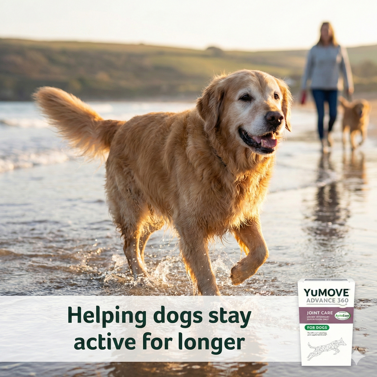 Happy dog mobility with vet strength joint chews for dogs