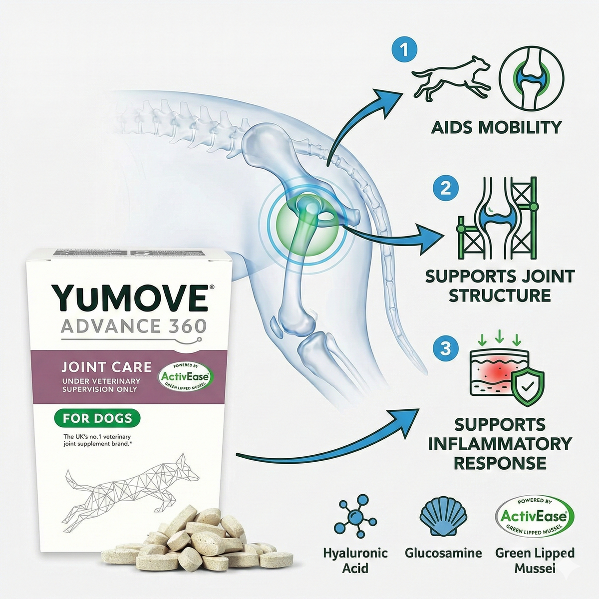 Infographic showing how YuMOVE Advance 360 Max Strength supports dog joint mobility, structure and comfort