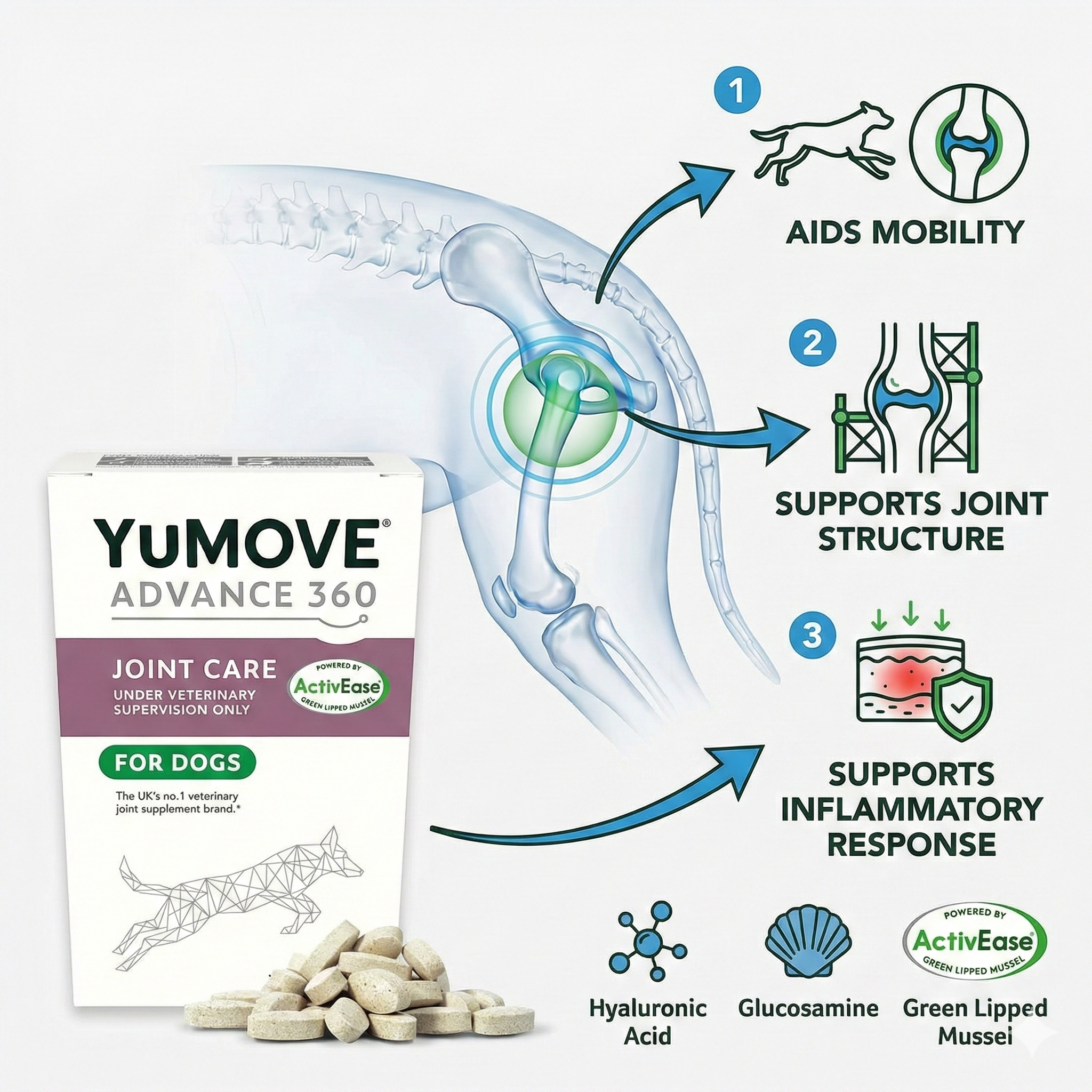 Infographic showing how YuMOVE Advance 360 Max Strength supports dog joint mobility, structure and comfort