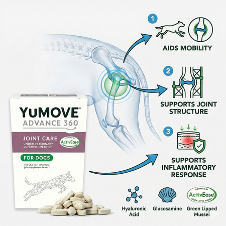 Infographic showing how YuMOVE Advance 360 Max Strength supports dog joint mobility, structure and comfort
