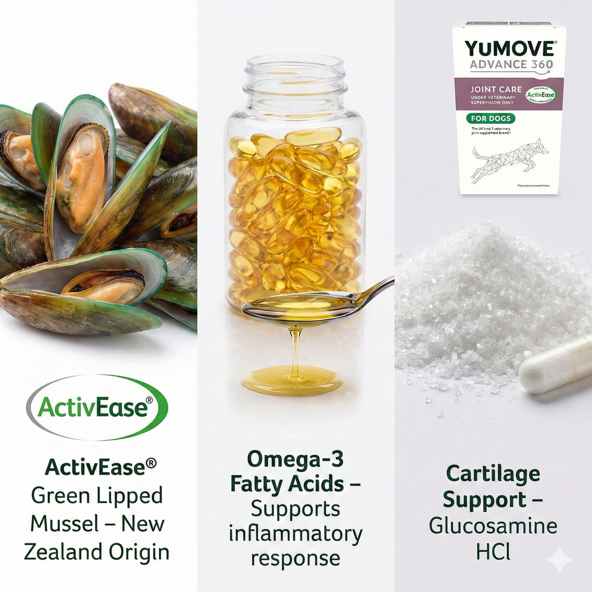 Green Lipped Mussel Omega-3 for dog joint health in YuMOVE Advance 360