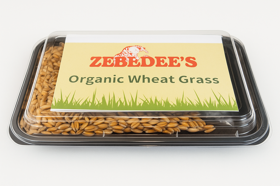 Zebedee's Organic Cat Grass Kit - Grow at home